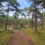 6 Person Holiday Home In Romo Dom wakacyjny Sønderby