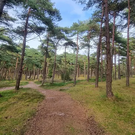 Southern Charm In Rim - By Traum Σπίτι διακοπών Sønderby